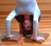 http://www.yogaprops.com/images/products/headstandercloseheadcropped200.jpg