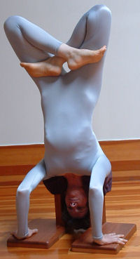 http://www.yogaprops.com/images/products/headstanderlotuscropped200.jpg